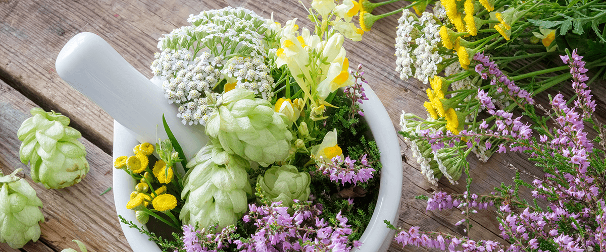 Plantapharm, Lohnhersteller